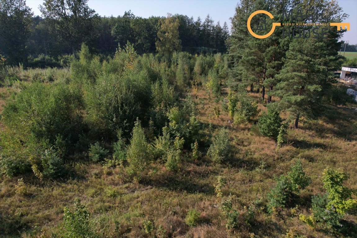 Działka budowlana na sprzedaż Gdańsk, Kokoszki, Leźnieńska  3 165m2 Foto 12