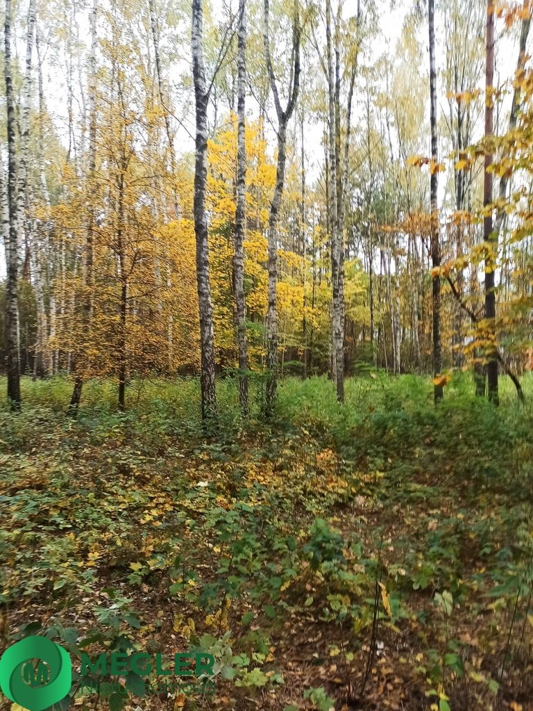 Działka leśna na sprzedaż Siestrzeń  11 293m2 Foto 6