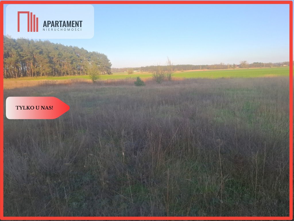 Działka 3005 m² z warunkami zabudowy, las, widok, do 35 min od Bydgoszczy Borówno  3 005m2 Foto 1