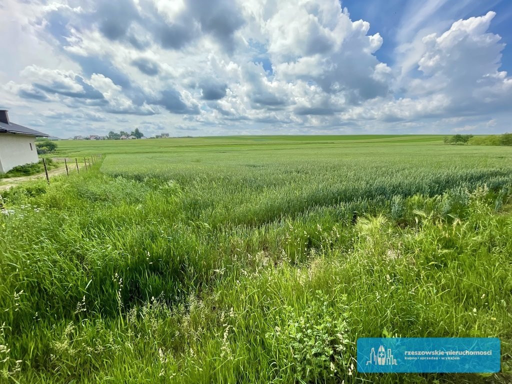 Działka rolna na sprzedaż Jarosław, Widna Góra  2 200m2 Foto 3