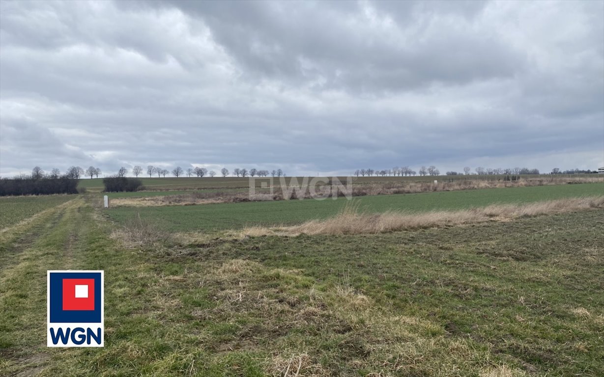 Działka budowlana na sprzedaż Kamionna, Kamionna, Kamionna  1 414m2 Foto 1