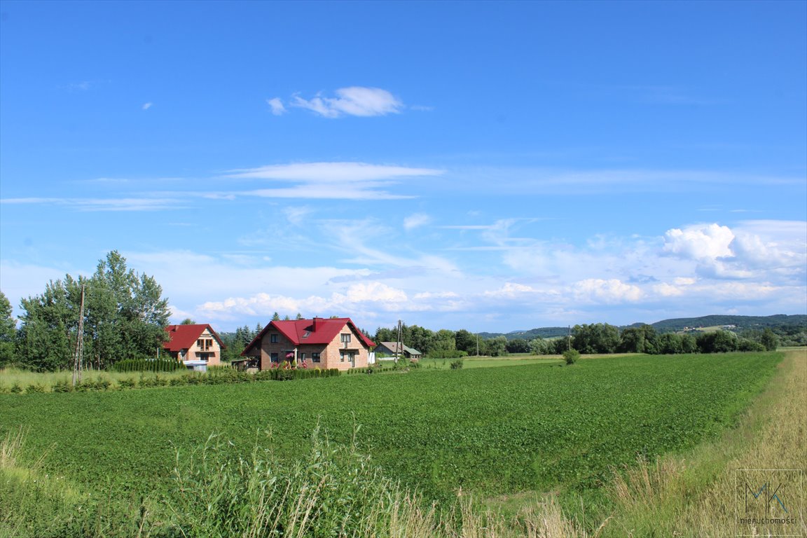 Działka budowlana na sprzedaż Winiary  1 100m2 Foto 1