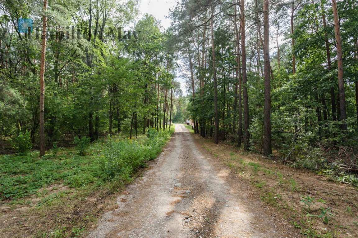 Działka inna na sprzedaż Sękocin-Las, Sękocin-Las, Sękocin Las  2 100m2 Foto 10