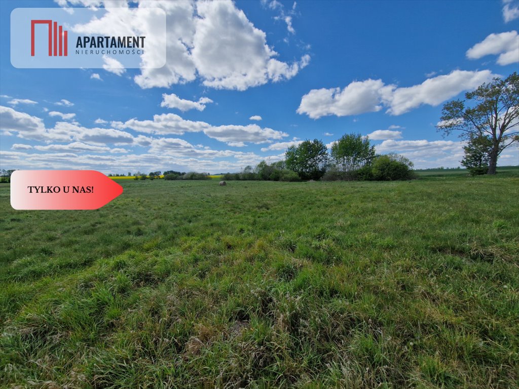 Działka gospodarstwo rolne na sprzedaż Dąbrówka  18 000m2 Foto 1