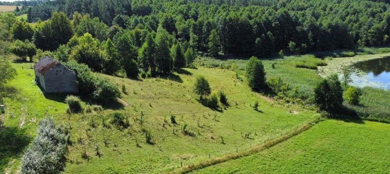 Działka rolna na sprzedaż Jeleniewo  2 800m2 Foto 4