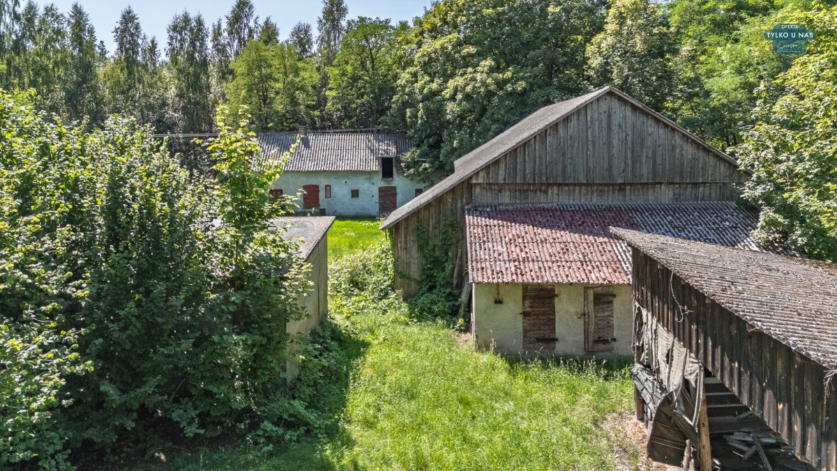 Na sprzedaż działka z lasem, mediami i zabudowaniami 8600 m² Stefanów Ruszkowski  8 600m2 Foto 1