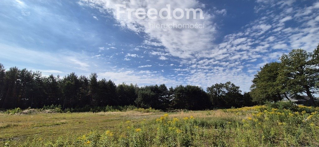Działka budowlana na sprzedaż Kotórz Mały  5 000m2 Foto 1