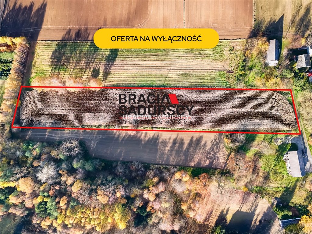 Działka 6000 m² pod dom w Przesławicach z mediami - polecam! Przesławice  6 000m2 Foto 1