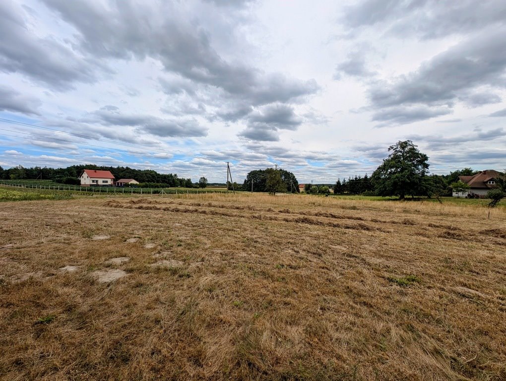 Działka budowlana na sprzedaż Roszkowa Wola  1 300m2 Foto 5