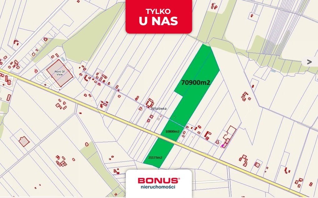 Działka inwestycyjna 10 871 m² z szerokimi możliwościami rozbudowy Witalówka  10 871m2 Foto 1