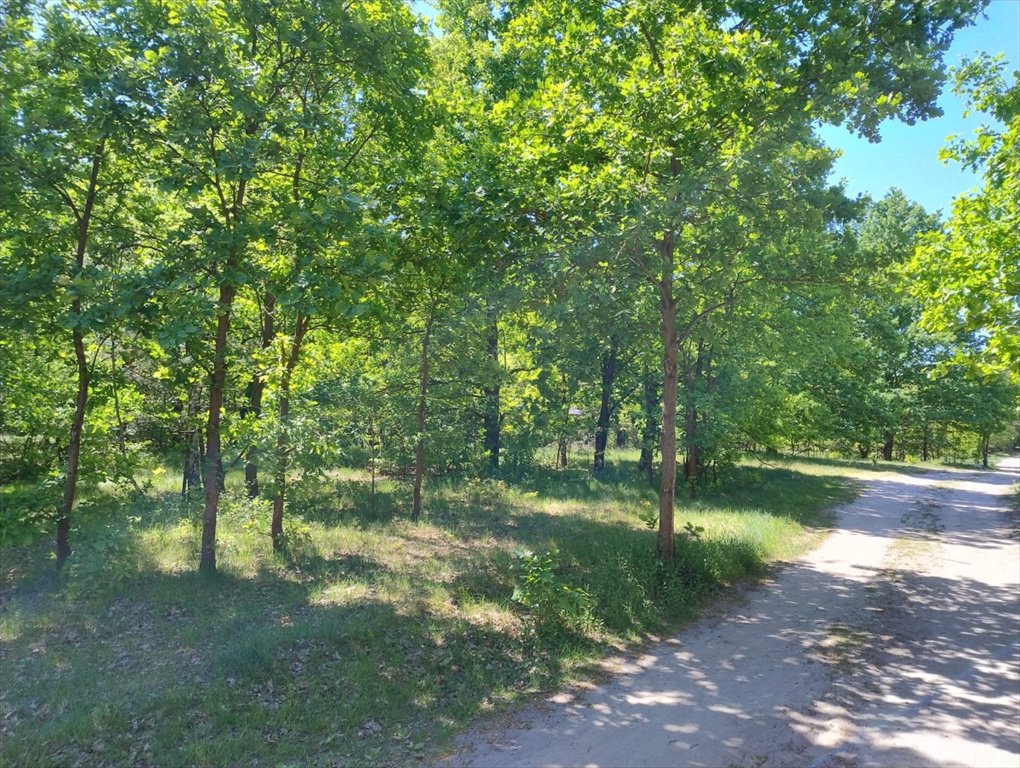 Działka budowlana na sprzedaż Józefów, Jaglana  1 500m2 Foto 9