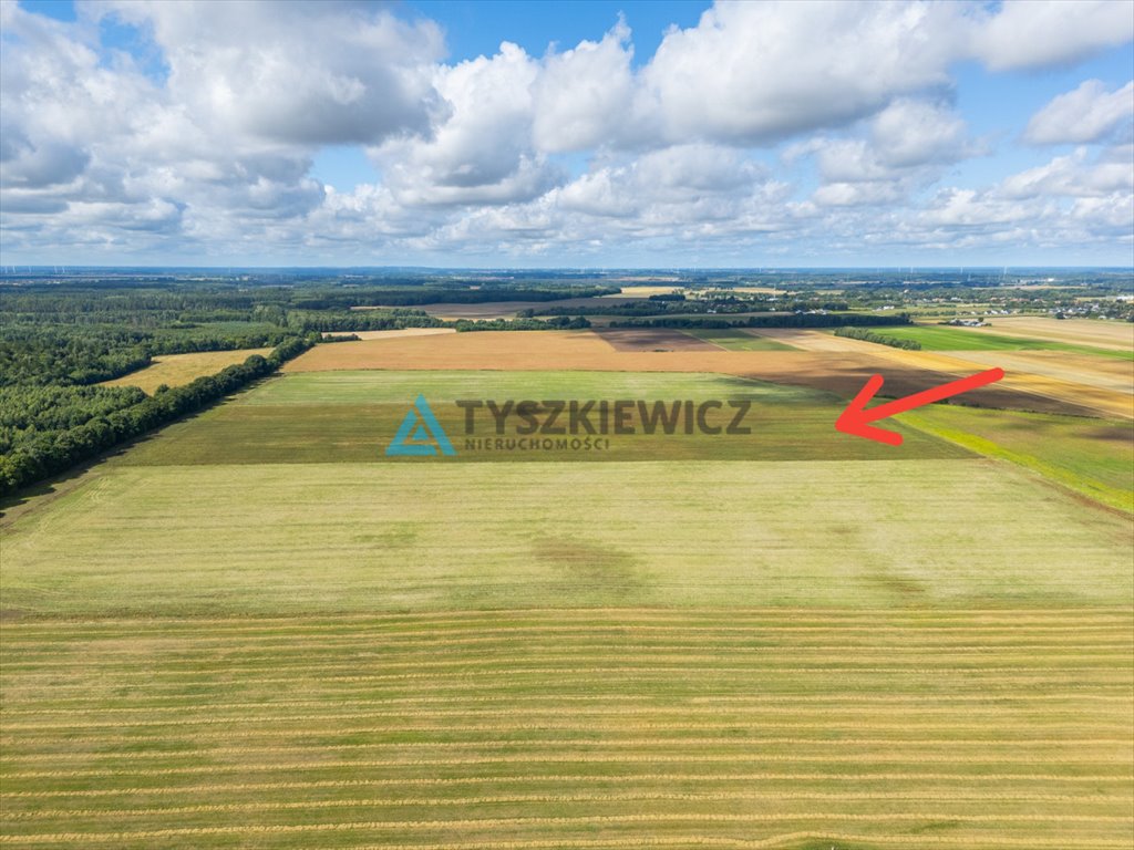 Zdjęcie 8
