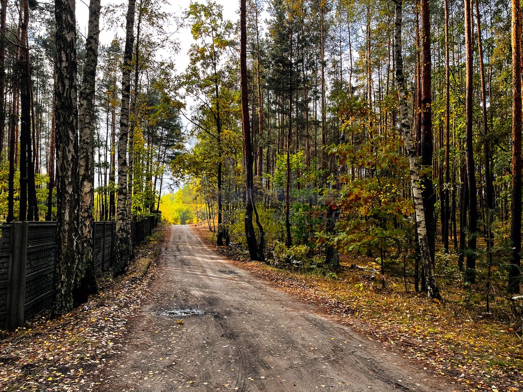 Działka inna na sprzedaż Warszawa, Wesoła, Stara Miłosna, Torfowa (1)  8 181m2 Foto 7