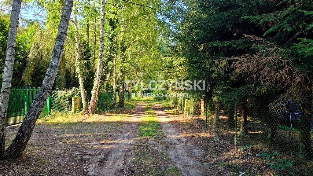 Działka budowlana na sprzedaż Grzymek  2 000m2 Foto 2