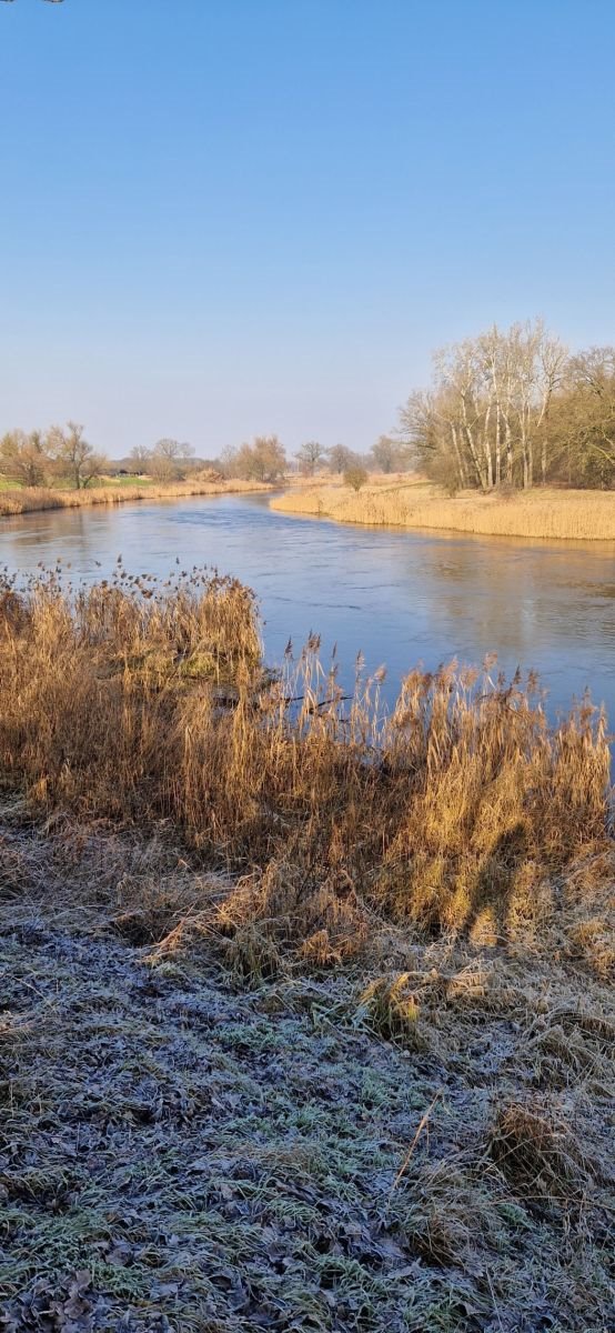Malownicza działka pod dom z mediami - 1600 m² w Baranowie Baranowo  795m2 Foto 1