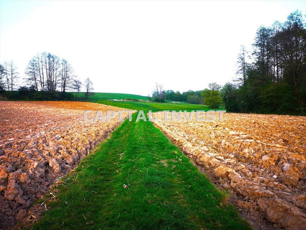 Działka inna na sprzedaż Wieprz  6 070m2 Foto 2