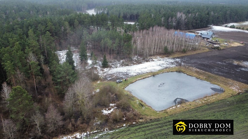 Działka inna na sprzedaż Waliły  10 363m2 Foto 3