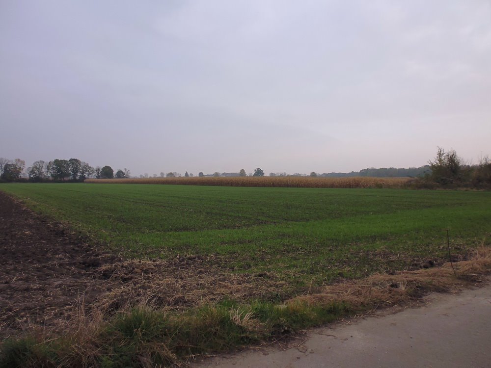 Działka siedliskowa na sprzedaż Wierzbice, Lwowska  3 000m2 Foto 3