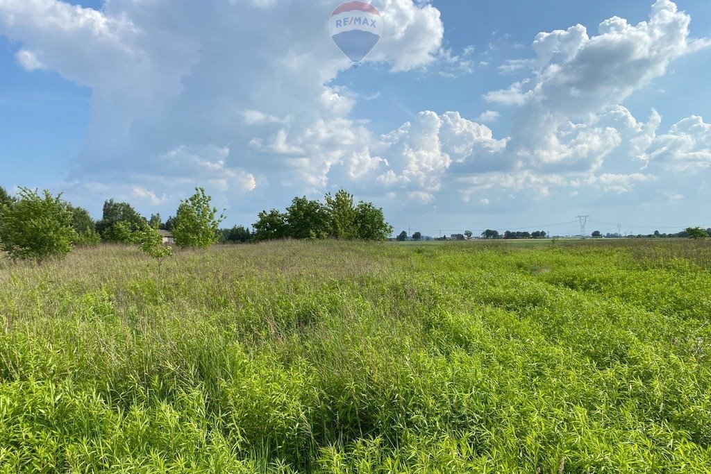 Działka budowlana na sprzedaż Wąsy-Kolonia  1 538m2 Foto 8