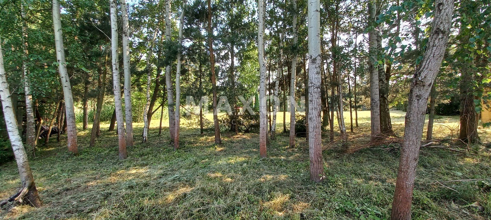 Działka budowlana na sprzedaż Murowanka  2 900m2 Foto 34