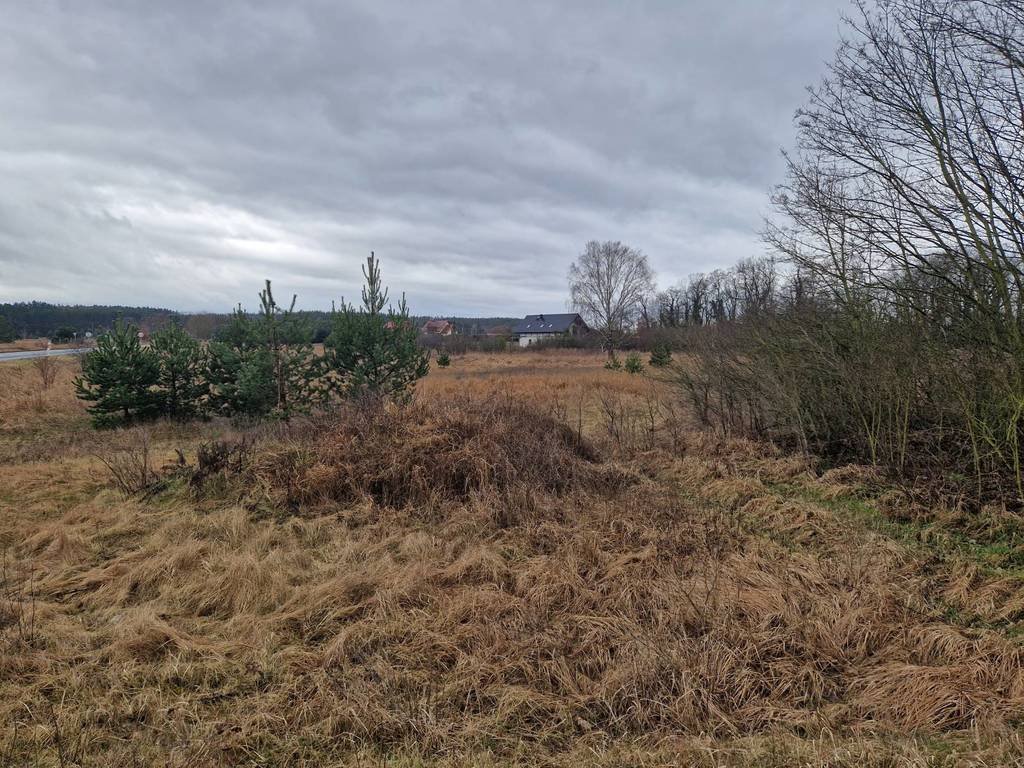 Działka budowlana na sprzedaż Ognica  760m2 Foto 4