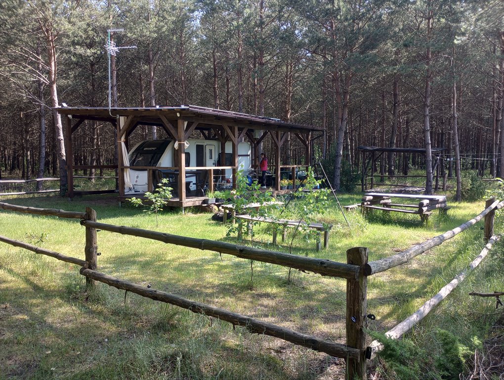 Do sprzedania działka leśna 3000 m² z potencjałem inwestycyjnym Konopaty  3 001m2 Foto 1