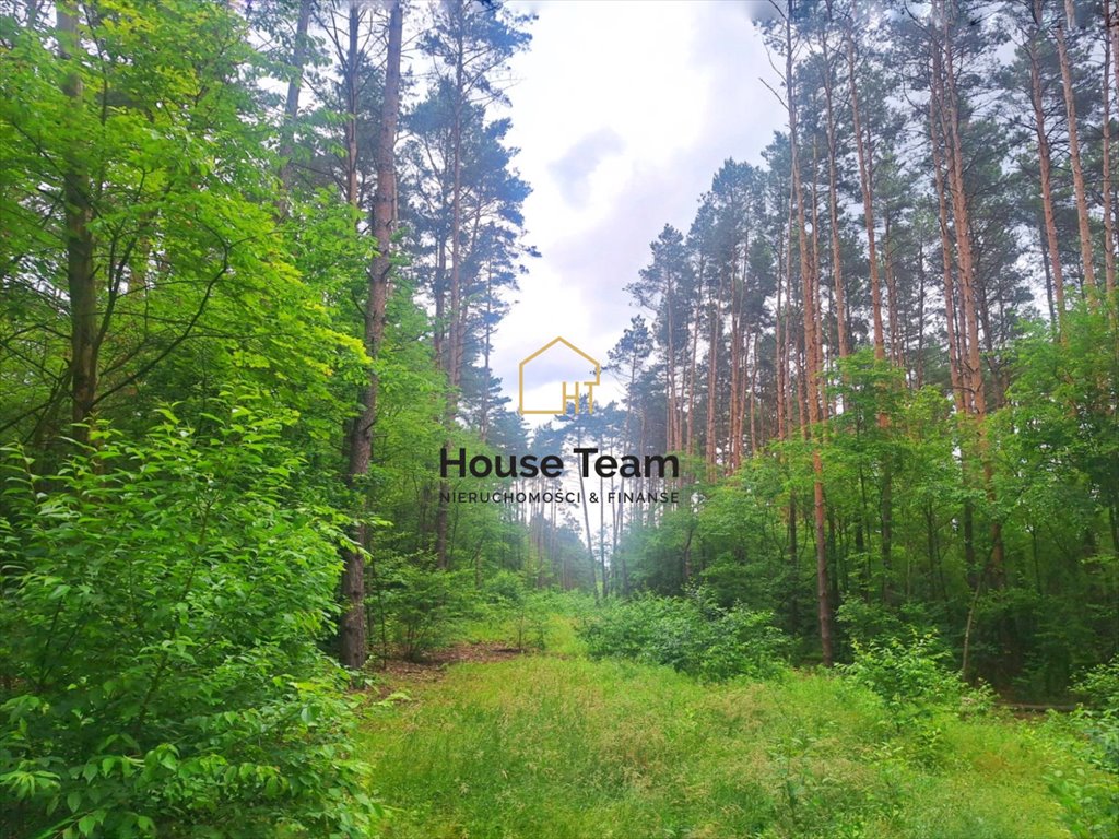 Działka 1721 m² w lesie - MN, spokój i natura Bydgoszcz, Smukała Dolna, Władysławy Kieliotis  1 721m2 Foto 1