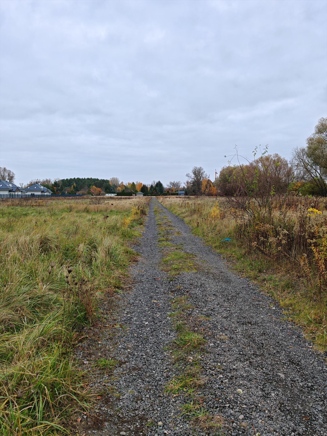 Działka budowlana na sprzedaż Kiełpin  5 647m2 Foto 3