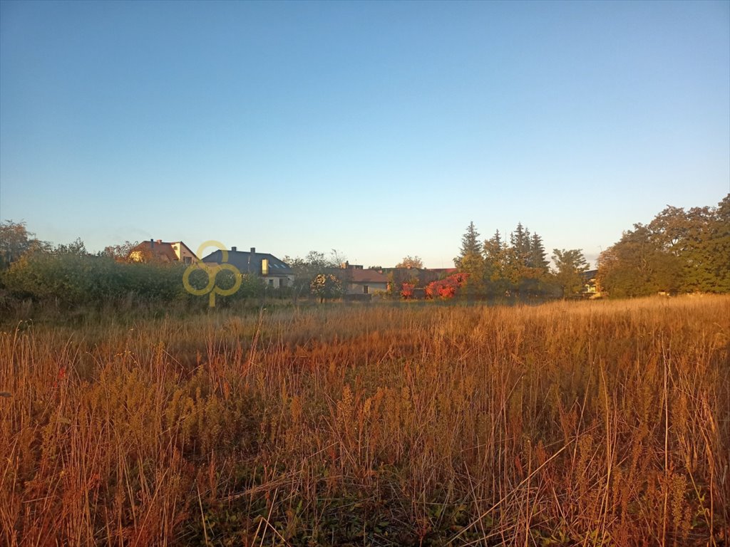 Do sprzedania działka budowlana 651 m² z planem zagospodarowania Rydzyna, Wolności  651m2 Foto 1