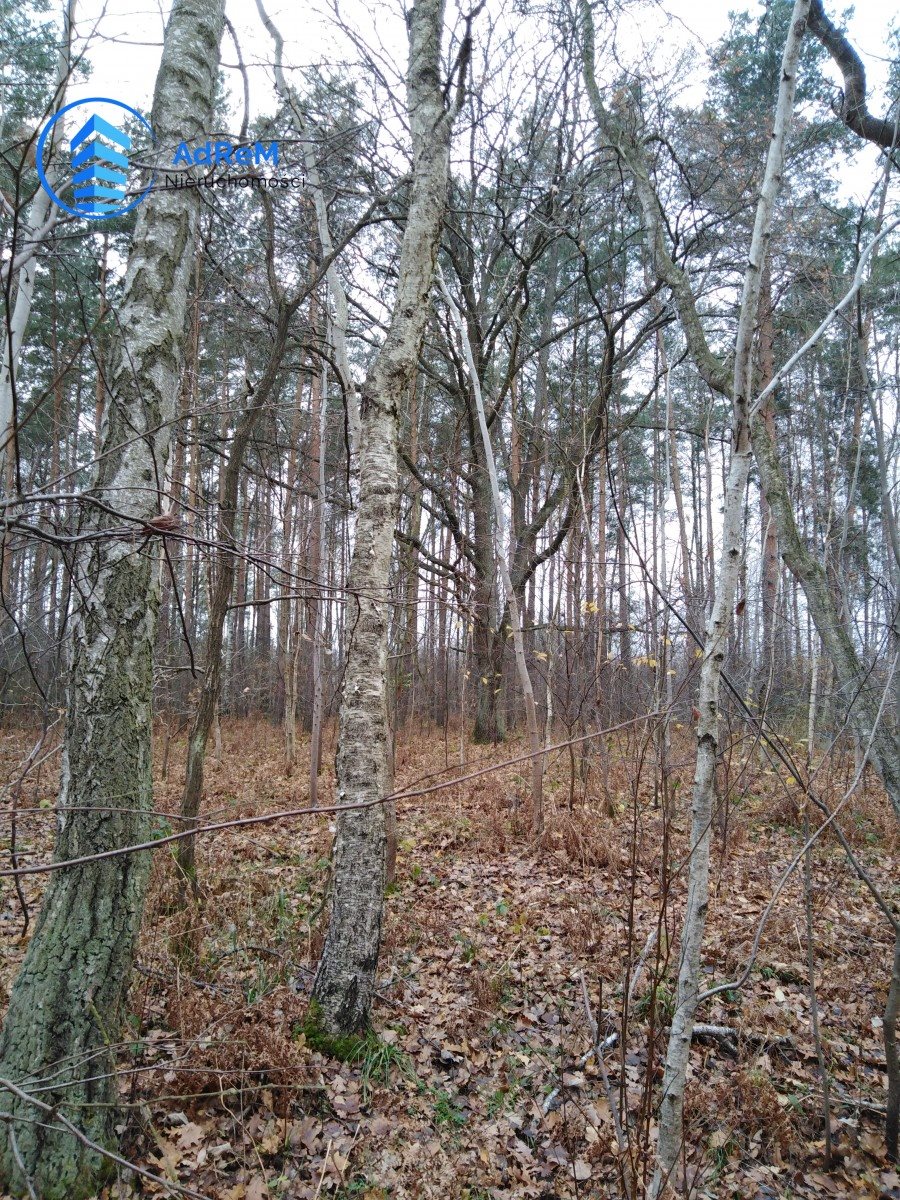 Działka leśna na sprzedaż Nowy Prażmów  760m2 Foto 5