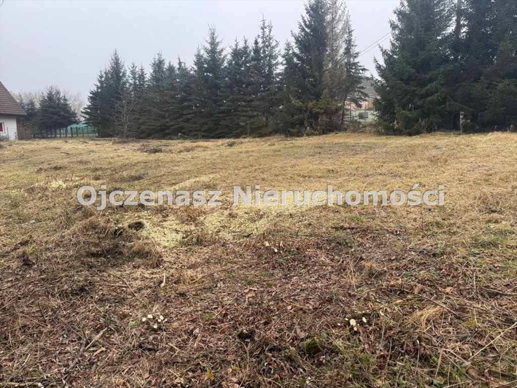 Sprzedam działkę 1000 m² z linią jeziora Sarcze w Jeleń Jeleń  1 000m2 Foto 1