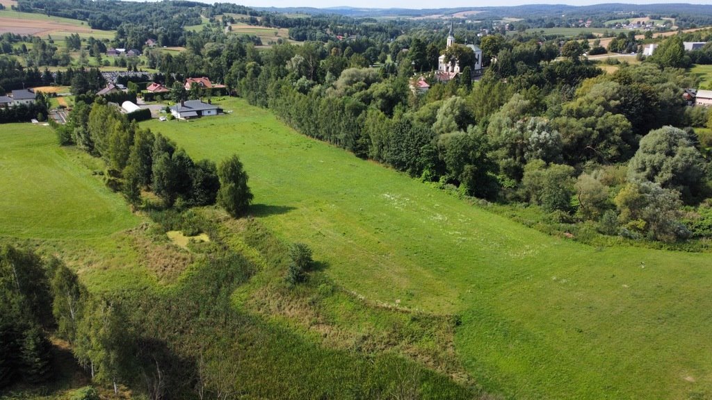 Działka budowlana na sprzedaż Borek Stary  3 100m2 Foto 5