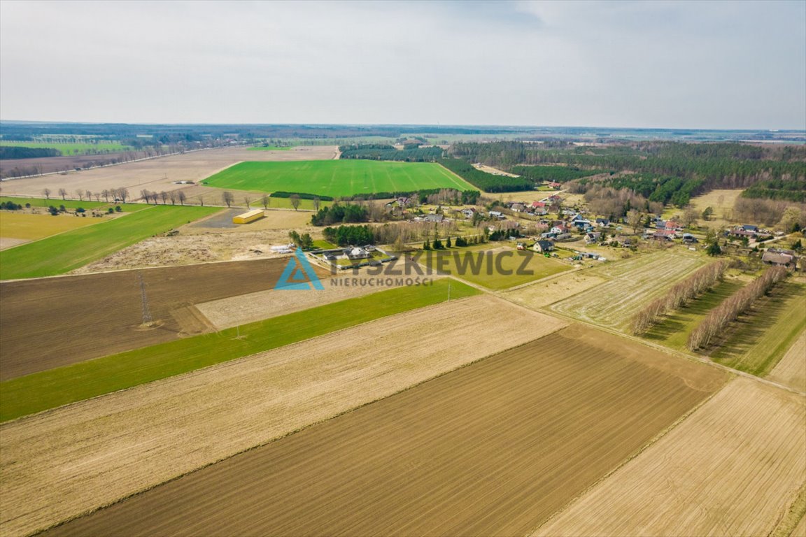 Działka rolna na sprzedaż Stara Dąbrowa  60 000m2 Foto 5