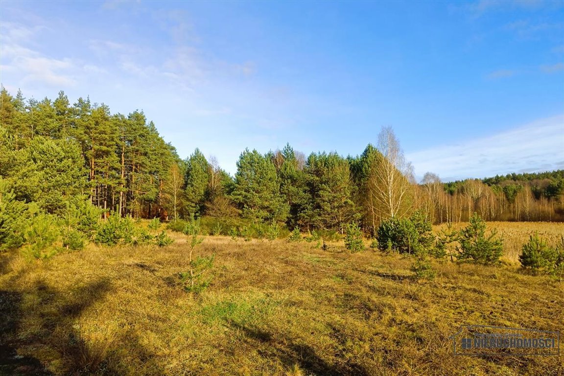 Działka inna na sprzedaż Komorze  3 593m2 Foto 5