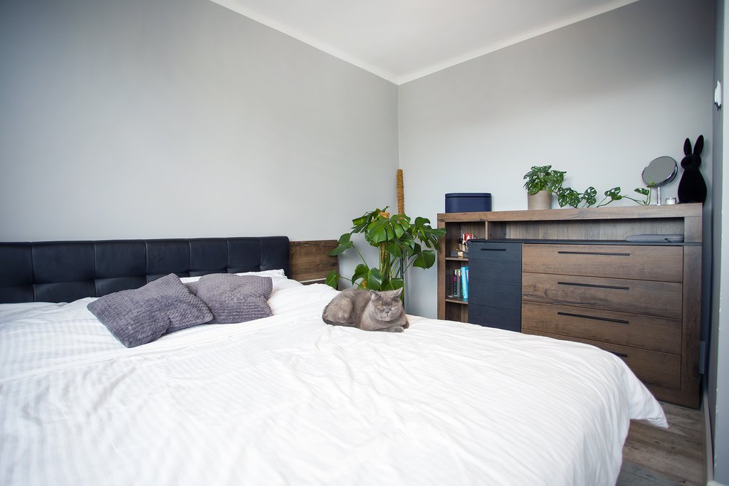 Mieszkanie dwupokojowe na sprzedaż Kielce, Hoża  48m2 Foto 1