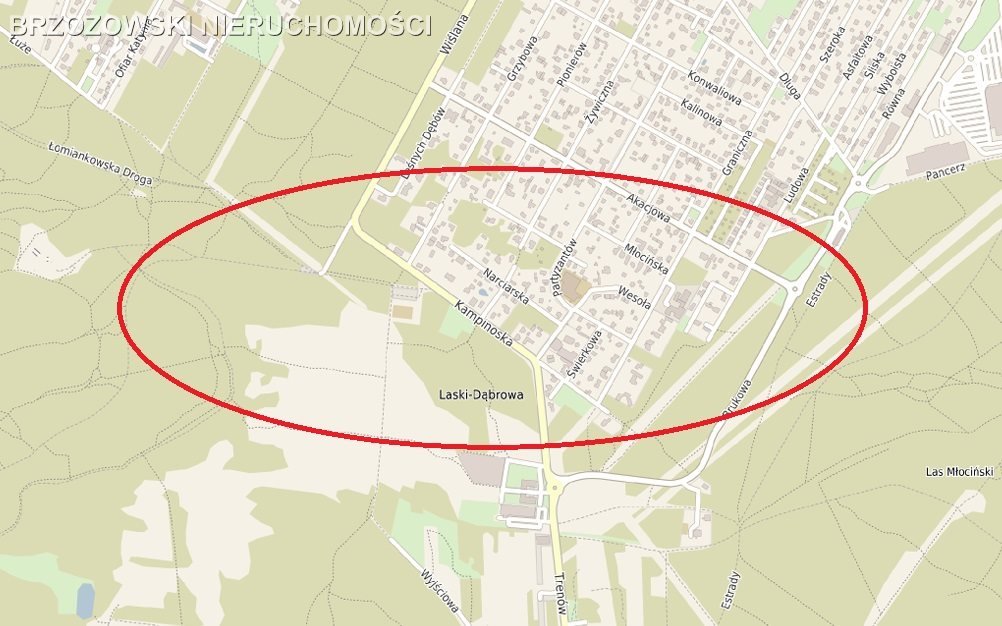 Działka budowlana na sprzedaż Łomianki, Dąbrowa Leśna  4 695m2 Foto 1