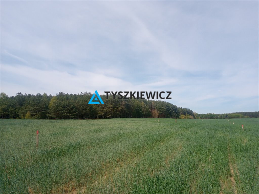 Działka budowlana 1037 m² w Dąbrowie – media, spokojna okolica Dąbrowa  1 037m2 Foto 1