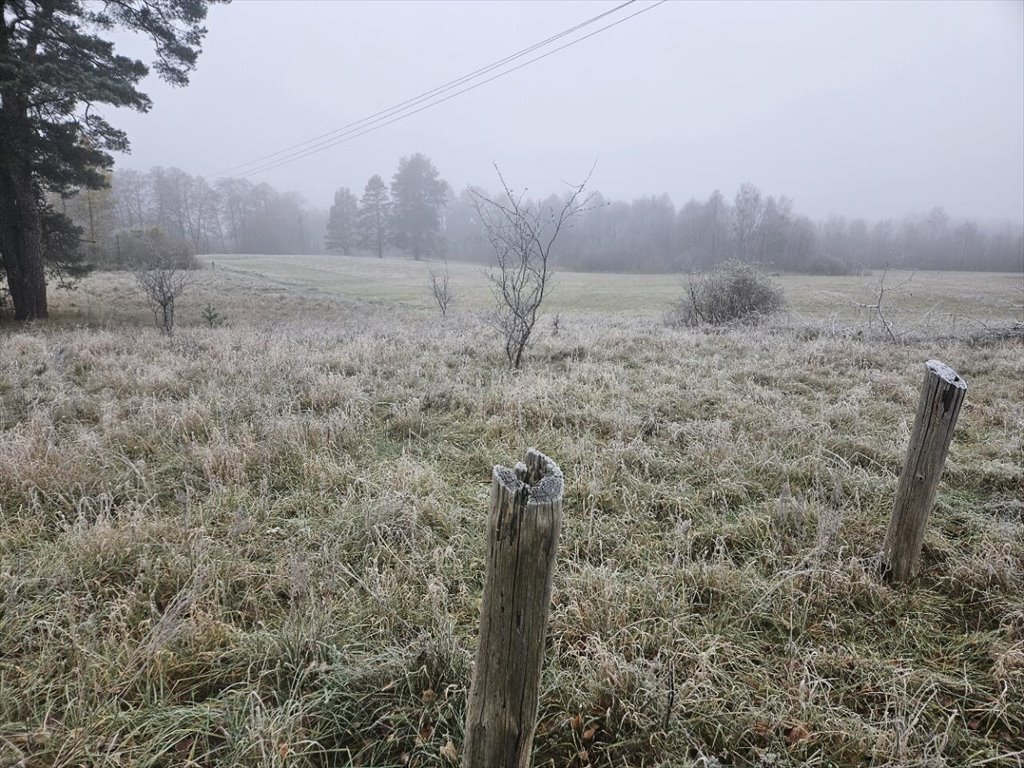 Działka rekreacyjna na sprzedaż Koczek  9 000m2 Foto 12