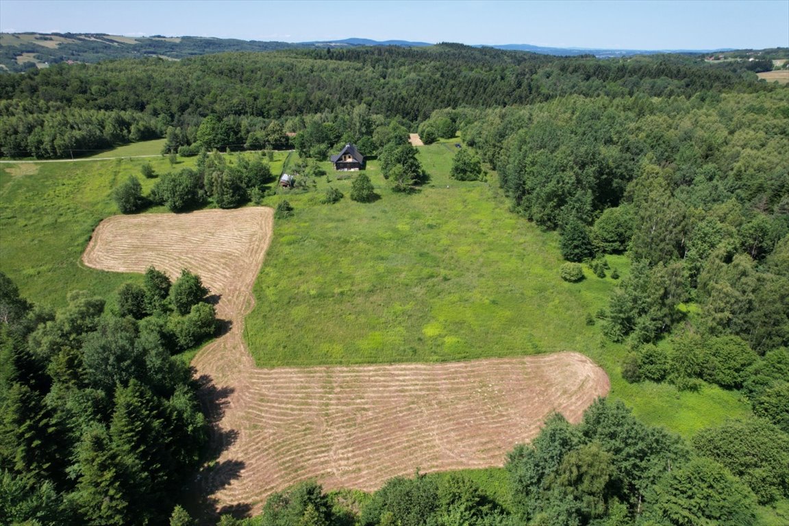 Działka rolna na sprzedaż Glinik Górny, Glinik Górny  8 100m2 Foto 1