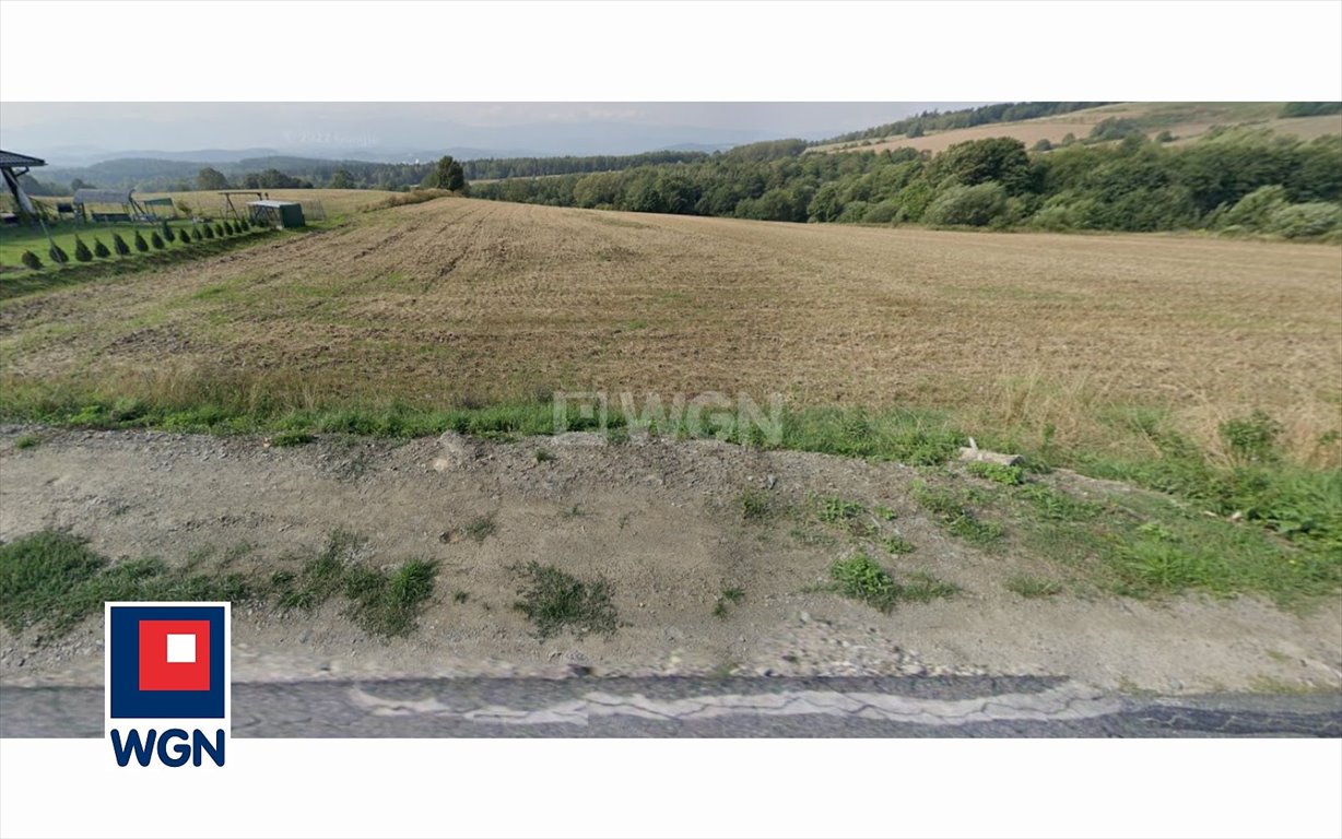 Działka budowlana na sprzedaż Dziwiszów, Dziwiszów, Podgórska  1 501m2 Foto 3