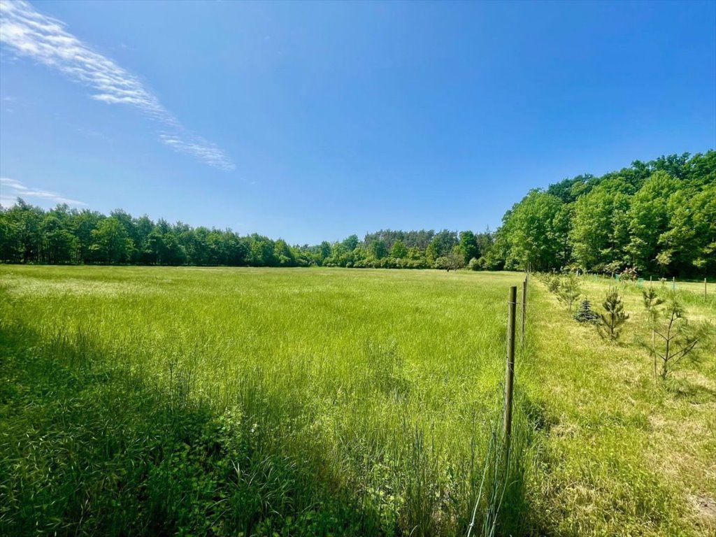 Działka budowlana na sprzedaż Bieczyny, Piękna  5 018m2 Foto 15