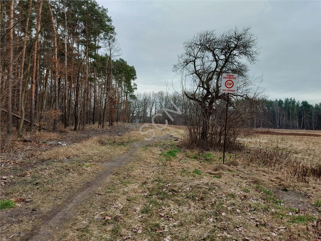 Działka budowlana na sprzedaż Emów  13 200m2 Foto 7