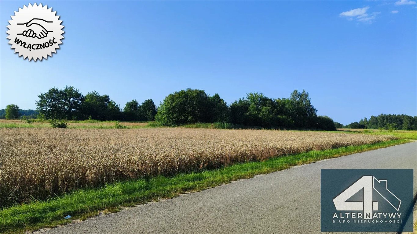 Działka budowlana na sprzedaż Szarwark  1 900m2 Foto 2