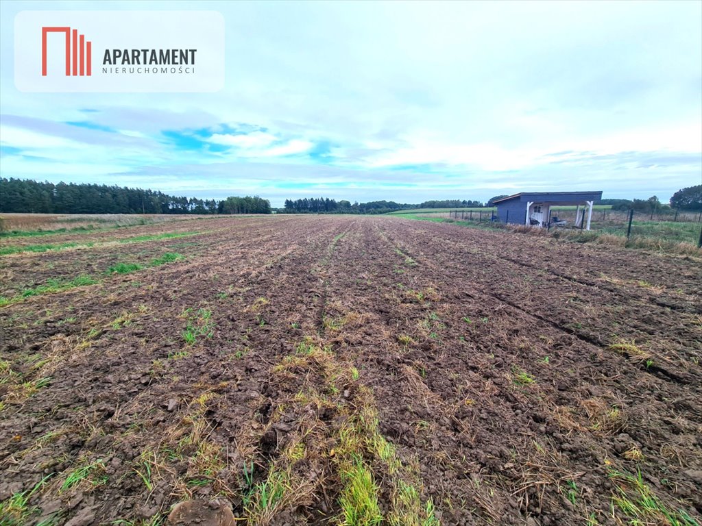 Działka siedliskowa na sprzedaż Niedamowo  3 002m2 Foto 1