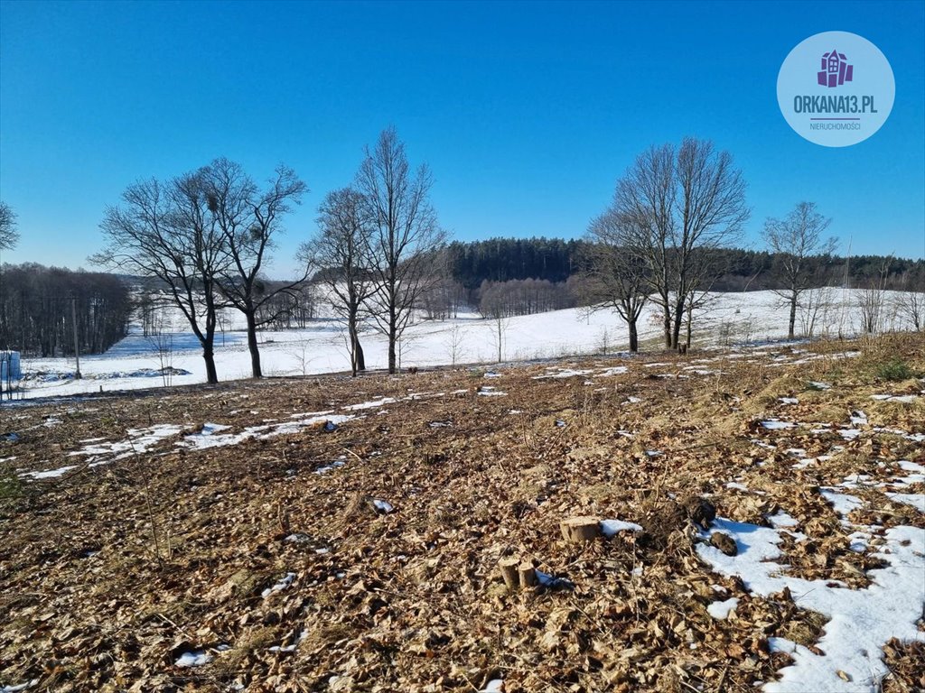 Działka budowlana na sprzedaż Giławy, Giławy  4 259m2 Foto 4