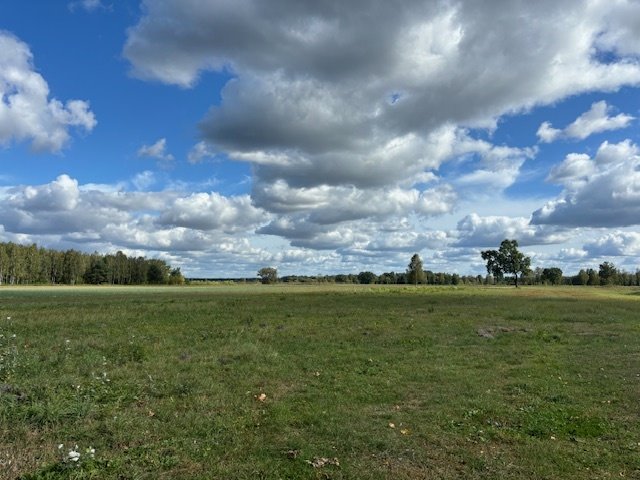 Działka rolna na sprzedaż Łąki  14 000m2 Foto 9