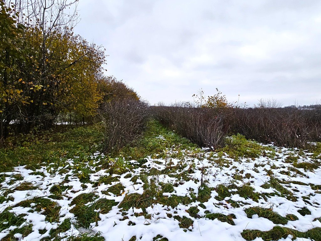 Działka budowlana na sprzedaż Garbów, Malinowa  1 000m2 Foto 7