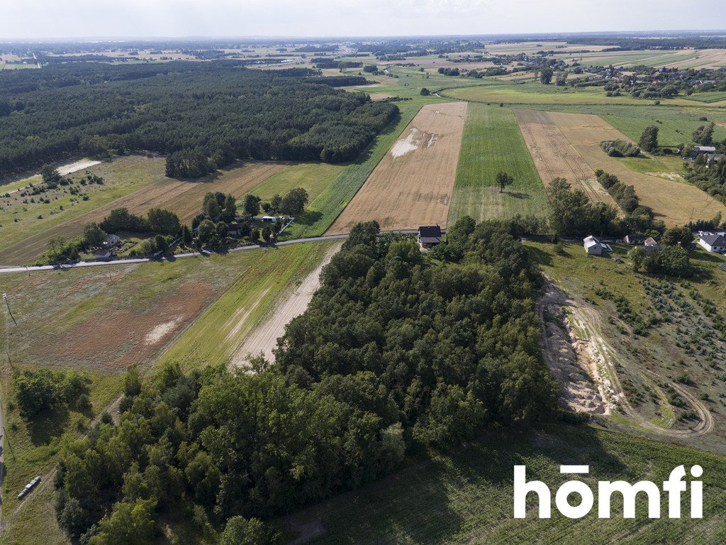 Działka inwestycyjna na sprzedaż Domanin  13 100m2 Foto 2