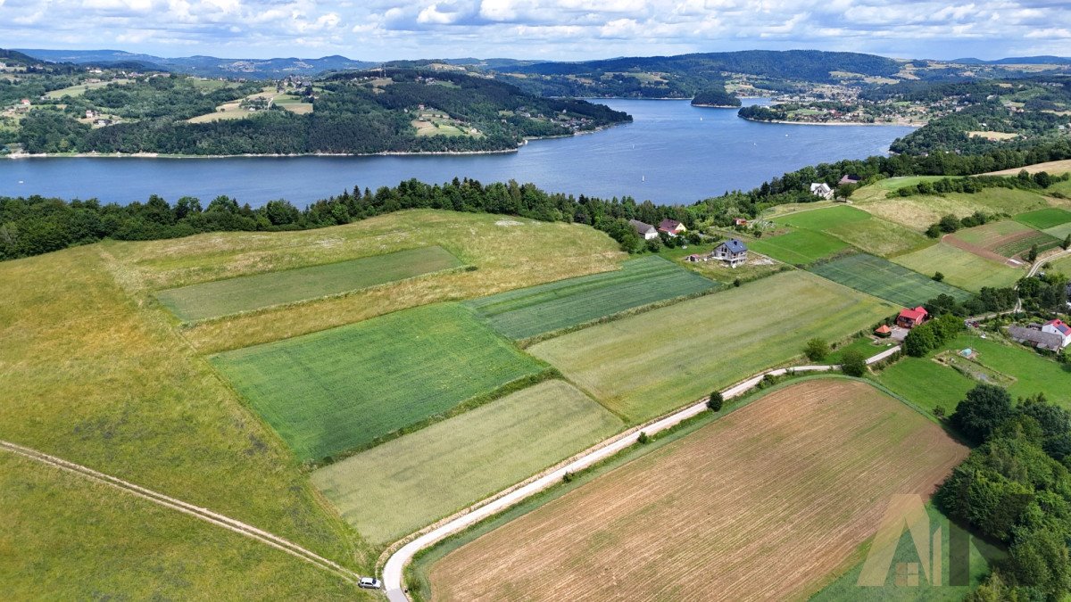 Działka budowlana na sprzedaż Sienna  3 100m2 Foto 3