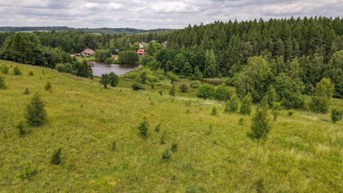 Działka budowlana na sprzedaż Gromadzin  3 143m2 Foto 2